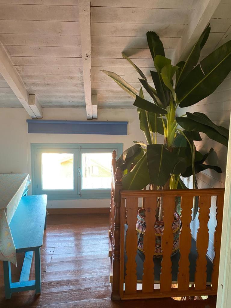 Madera Y Mar Apartman Isla Plana Kültér fotó